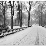 _MG_2244b