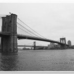 _MG_4199bn
