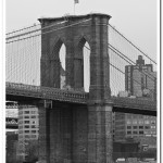_MG_4217bn