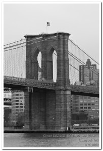_MG_4217bn