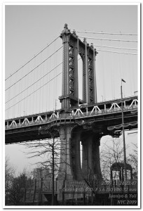 _MG_4648bn